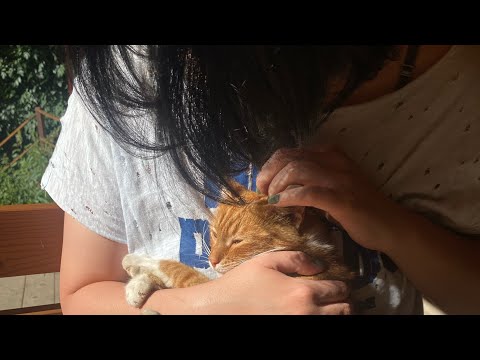 Видео: РАК НОСОГЛОТКИ (гланды). Часть 2. Лечение, побочки