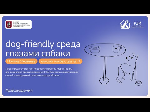 Видео: Dog-friendly среда глазами собаки