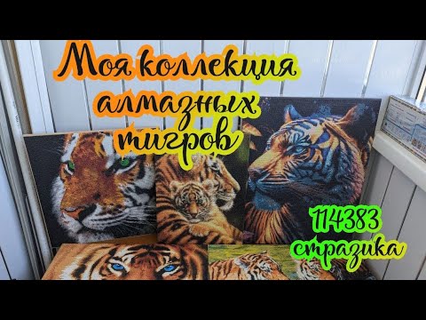 Видео: Моя коллекция алмазных тигров. Алмазная мозаика 💎🐾🐯