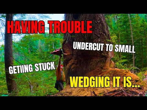 Видео: Сила, преодолевающая препятствие