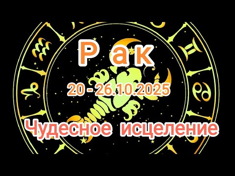 Видео: РАК✨20 - 26.10.2025✨ Тароскоп 🍁