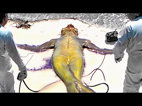 Видео: Они Поймали Настоящую Русалку... Вот Что Было Дальше...