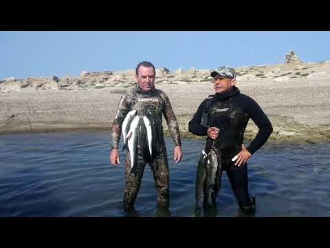 Видео: подводная охота на каспии 2020