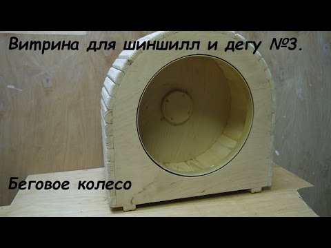 Видео: Витрина для шиншилл и дегу №4. Беговое колесо