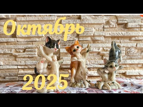 Видео: Совет фей на октябрь 2025