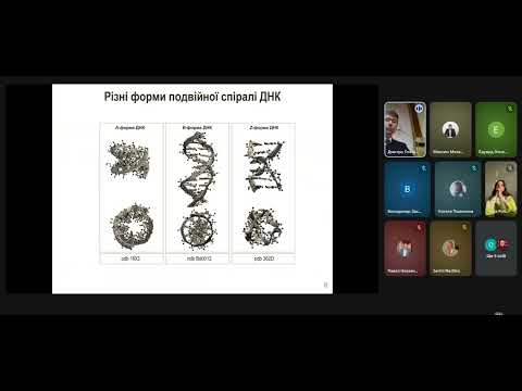 Видео: ПРОТИЙОНИ В ДНК-НАНОТЕХНОЛОГІЯХ
