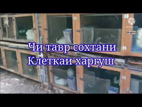 Видео: МАЪЛУМОТ ДАР БОРАИ КЛЕТКАИ ХАРГУШ. اطلاعات در مورد قفس خرگوش