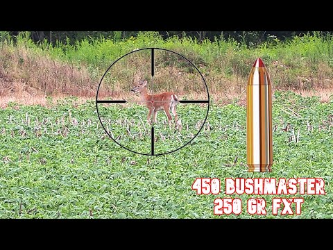 Видео: Проверка пределов возможностей Bushmaster 450