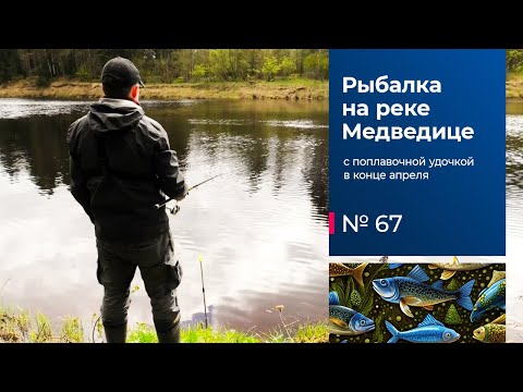 Видео: 67 / Рыбалка на Медведице / Поплавочная удочка / Тверская область / Конец апреля