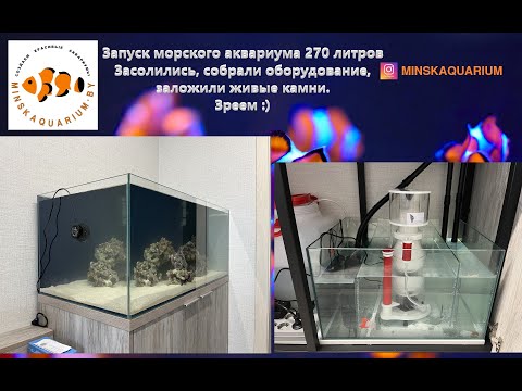Видео: Запуск морского аквариума 270 литров. Засолились, живые камни. Зреем.