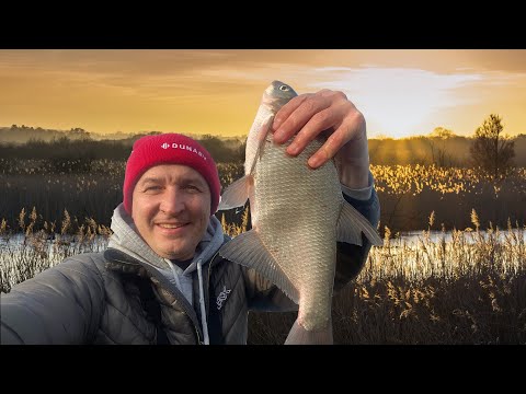 Видео: Отличная рыбалка на фидер. Выбрался на Маныч.