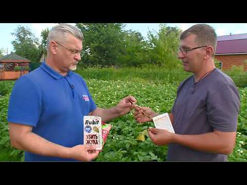 Видео: Вести.Интервью: Владислав Кундасев, агроном