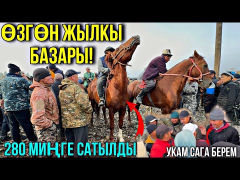 Видео: АТ ТАЛАШ БОЛДУ БАЗАР КАЙНАДЫ 🤯#байтв