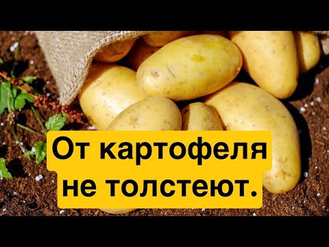 Видео: От картофеля не толстеют. 