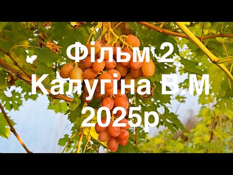 Видео: Фільм 2 Калугіна В.М 2025