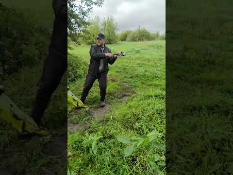 Видео: Рыбалка в этот раз не удалась 