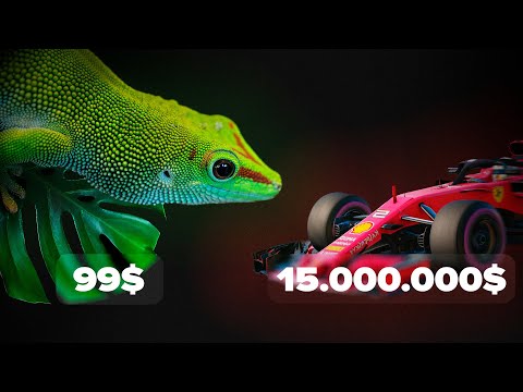 Видео: ЯЩЕРИЦА которая БЫСТРЕЕ ВСЕХ! ФЕЛЬЗУМА Содержание дома.