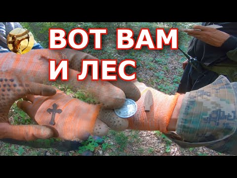 Видео: НАШЕЛ В ЛЕСУ, МОНЕТНЫЙ ДЕНЬ, ЭТО НАДО ВИДЕТЬ.