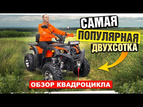 Видео: YACOTA SELA 200 MAX - СТОИТ ЛИ ПОКУПАТЬ в 2025? Честный обзор квадроцикла, сравнение с конкурентами