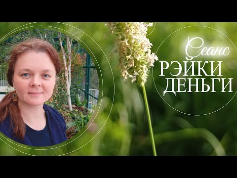 Видео: сеанс Рэйки Деньги Reiki Healing ASMR