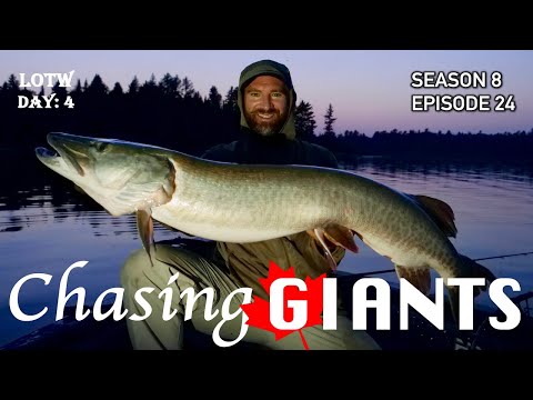 Видео: В погоне за гигантскими маскусами на Лесном озере: МИССИЯ ВЫПОЛНЕНА! S8.E24