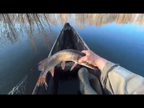 Видео: На   разливах .  Проверяем   сети .  Какой  шустрый...молодец .