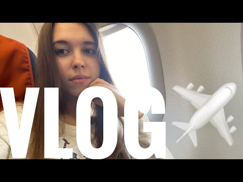 Видео: VLOG:ЛЕТИМ С СОБАКОЙ В ПРАГУ | АЭРОПОРТ | САМОЛЕТ