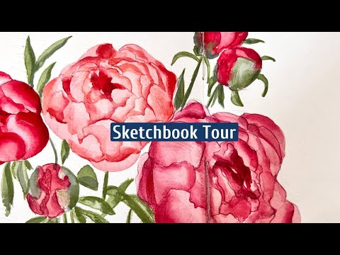 Видео: ОБЗОР СКЕТЧБУКА | АКВАРЕЛЬ | sketchbook tour