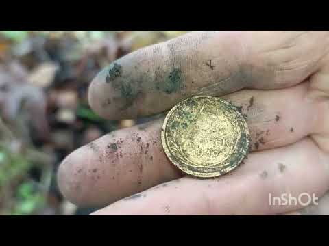 Видео: Осень прекрасная пора!