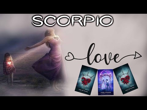 Видео: СКОРПИОН 💖 ОНИ ТЕБЯ ТАК СИЛЬНО ЛЮБЯТ! ПРАВДА, ОНИ НЕРВНИЧАЮТ… ДАЖЕ ВСЮ ЖИЗНЬ ТАК НЕ ЧУВСТВОВАЛИ! 😳🔥