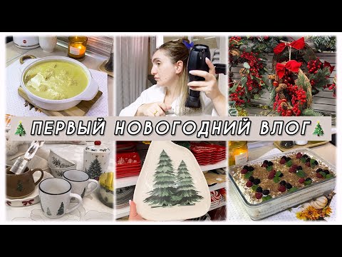 Видео: ПЕРВЫЕ НОВОГОДНИЕ ПОКУПКИ 🎄 ГОТОВЛЮ САЦИВИ 🍗