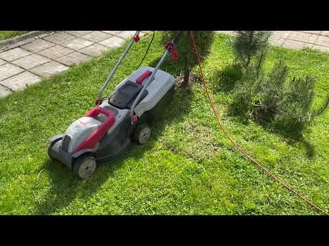 Видео: Обзор сада 10 мая 2025 года. Готовлю индейку с овощами #сад #дача #деревня