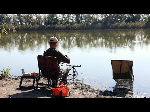 Видео: Осень, карась попёр, его тут много, ловля рыба на фидерную снасть