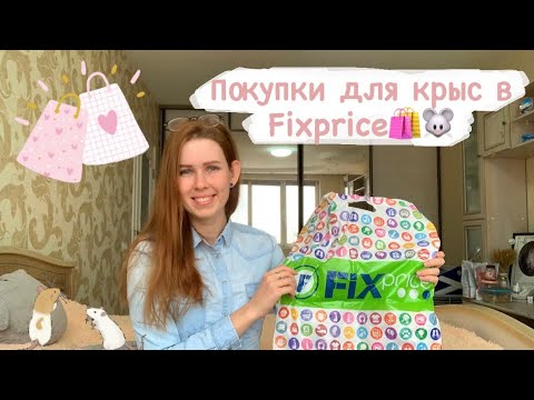 Видео: Покупки для крыс в Fixprice🛍 Что купить крысам в Fixprice? Шоппинг для крыс🐭