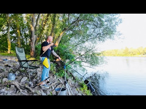 Видео: Риболовля 🎣 на Десні. Лящ і підлящик стає більш активним. Початок липня 2025.