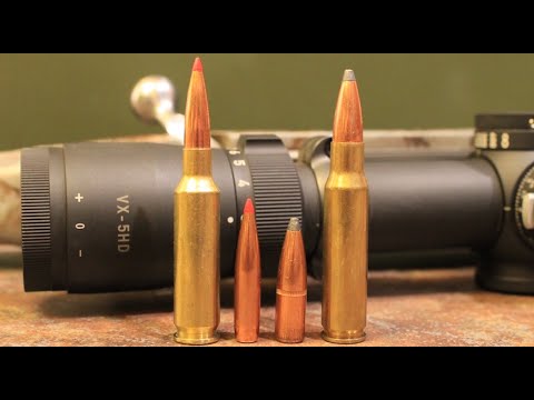 Видео: 6.5 Creedmoor против 308 Winchester: с каким из них лучше охотиться?