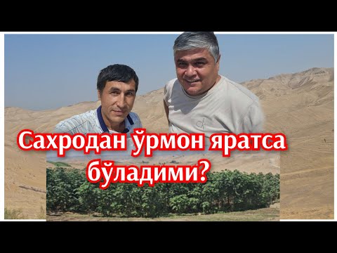 Видео: Адирдан Ўрмон ярата оладими? Отабек Нуриддинов. Асака. 
