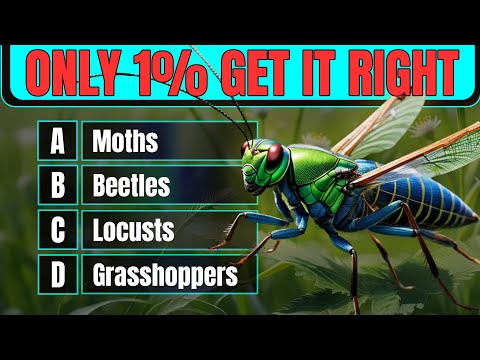 Видео: 25 БИБЛЕЙСКИХ ВОПРОСОВ О НОВОМ ЗАВЕТЕ ДЛЯ ПРОВЕРКИ ВАШИХ ЗНАНИЙ БИБЛИИ — Библейская викторина