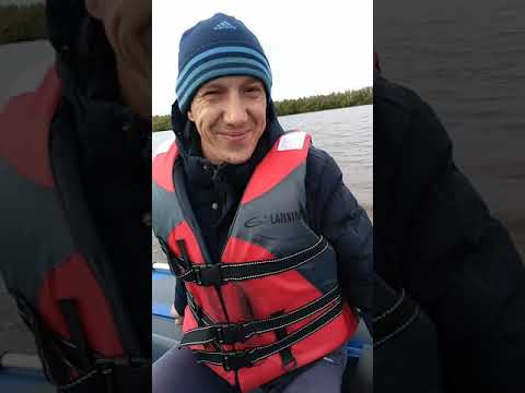 Видео: Orca gt 380 и Gladiator 9.9 pro