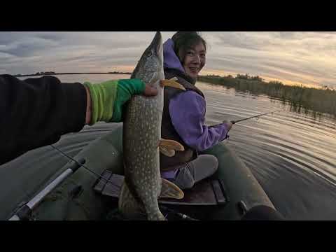 Видео: Когда взял жену на рыбалку/ЗВЕРЬЕ АТАКУЕТ/Рыбалка в октябре
