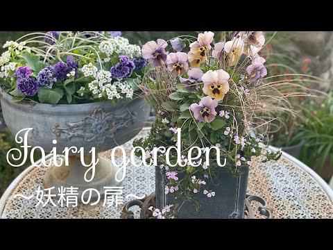 Видео: Новые названия виол этой осени и рекомендуемые виолы [Садоводство] [Посадка]