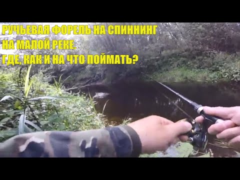 Видео: Ручьевая форель на спиннинг. Где , на что и как ловит ручьевую форель в малой реке.
