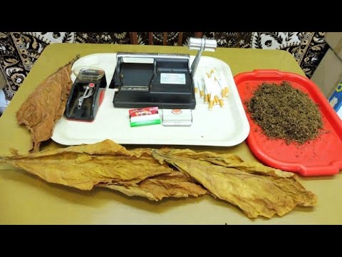 Видео: Табаководство для начинающих,мои ошибки и достижения.