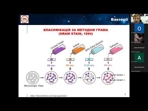 Видео: Лекція 09. Антибіотики