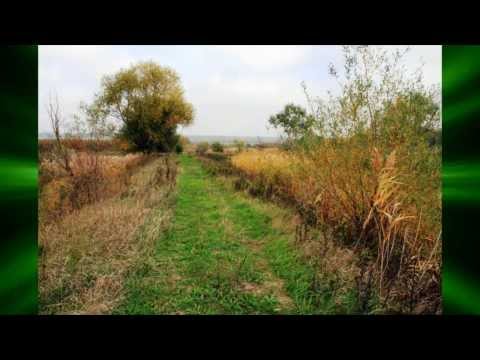 Видео: Зепп Хольцер в Молдове