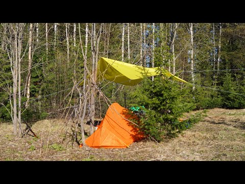 Видео: Заброшенная деревня отшельников староверов в глухой тайге Коми. В поисках старины. Часть 2