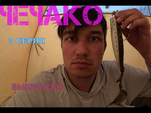 Видео: ВЫБИРАЮСЬ ИЗ ЛЕСА || ГОСТЬ СПЛАВА || БОЛЬШОЙ СПЛАВ ПО РЕКЕ ЛОВАТЬ. 229 КМ ПО ПУТИ ИЗ ВАРЯГ В ГРЕКИ!!