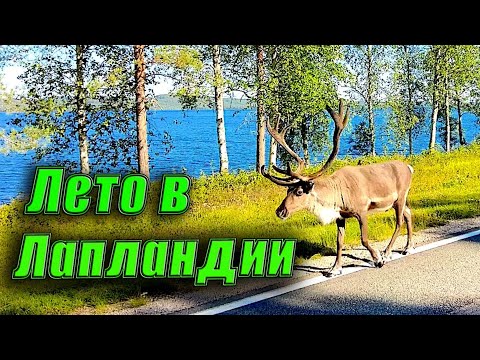 Видео: Летняя сказка в Лапландии — деревня Санта-Клауса!