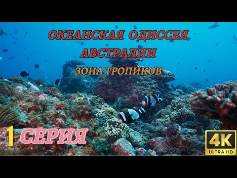 Видео: Мир Дикой Природы. Австралия и Океания. Документальный Фильм 4K. 1 серия из 3