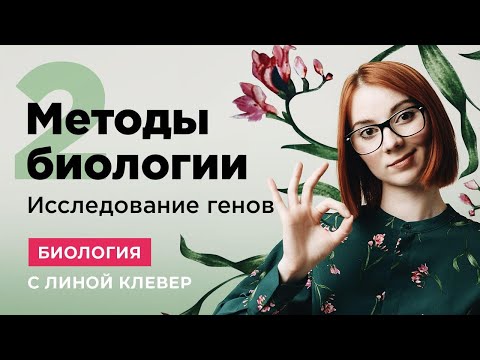Видео: МЕТОДЫ БИОЛОГИИ. Часть 2 | Биология ЕГЭ | Лина Клевер